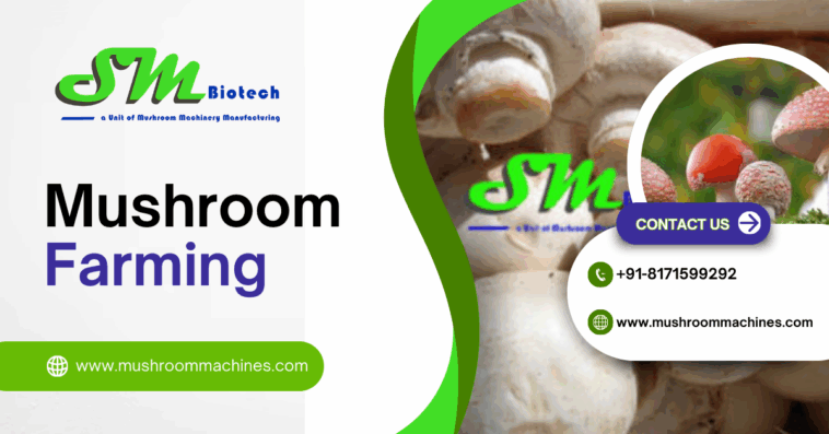 Mushroom Farming post 1