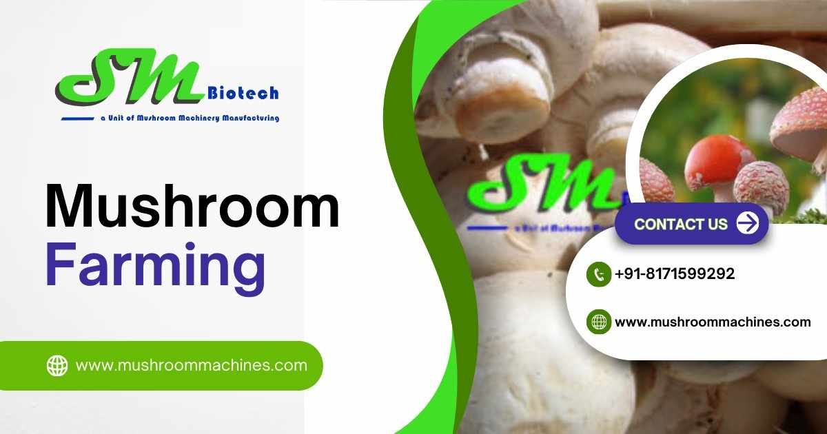 The Future of Mushroom Farming with MushroomMachines 1 MushroomFarmingpost 1