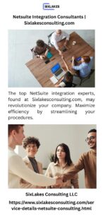 Netsuite Integration Consultants Sixlakesconsulting.com