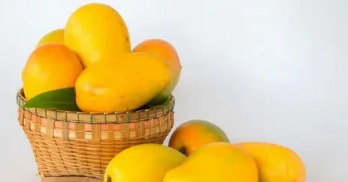 Middlemen Role in Pakistani Mango Price in Pakistan
