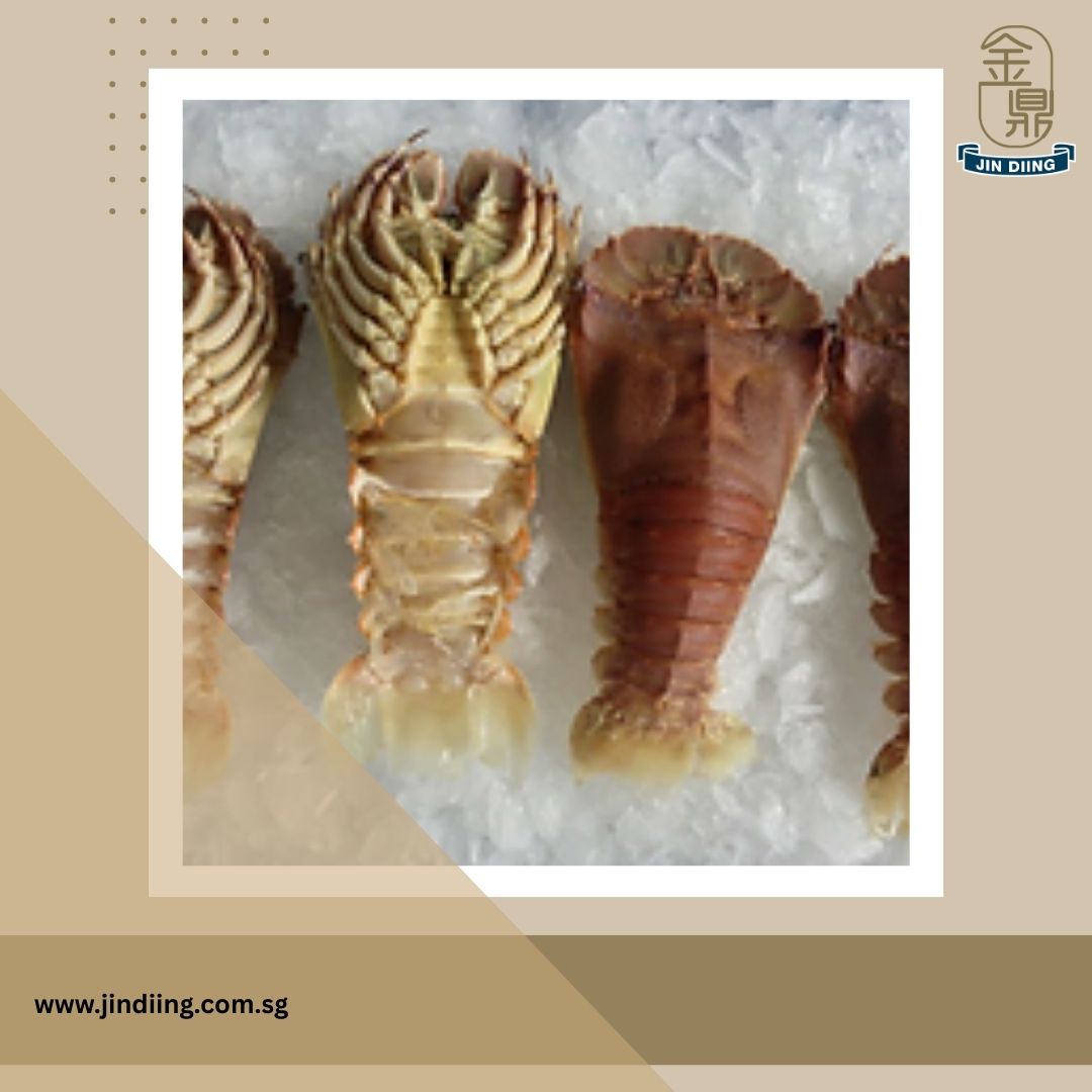 Seafood Wholesaler Singapore & Seafood Supplier Near Me | Jin Diing 1 Seafood Wholesale Singapore
