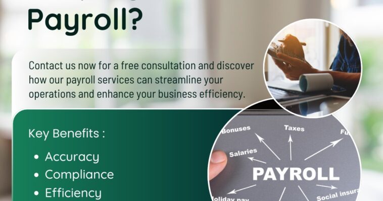 TSP payroll 4