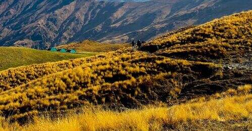 Largest Meadows of Asia