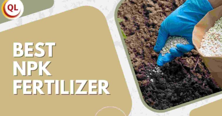 best npk fertilizer