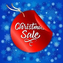 🎄 Bluetti Global Christmas Sale 2024 – Save Up To 57%!