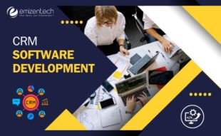 crm software development
