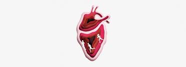 5 Common Misconceptions About Heart Hypokinesis