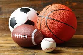 The Discerning Fan Guide to sport