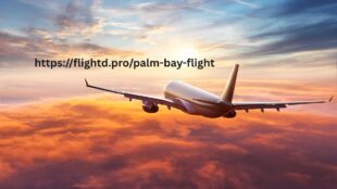 httpsflightd.propalm bay flight 1