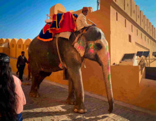 rajasthan budget tour Packages