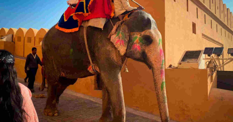 rajasthan budget tour Packages