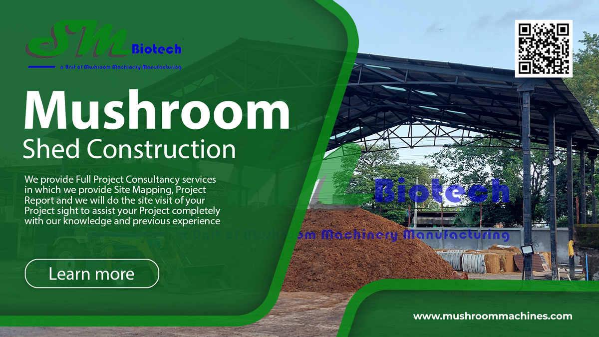 Shed Construction Is Crucial for Mushroom Cultivation 1 shed