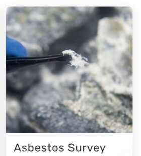 survey