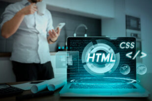 web development