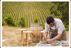 Adelaide hills wine tours 25000