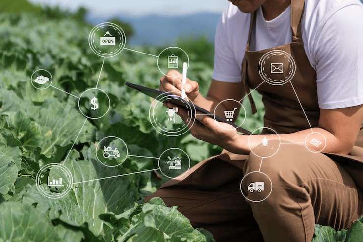 Odoo Agriculture Management System | Bizople