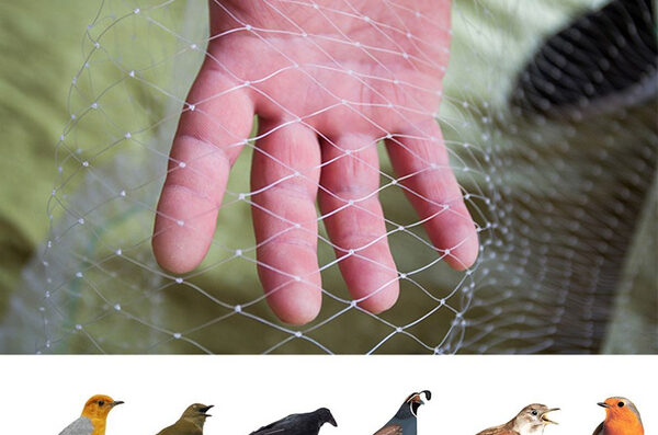 Bird Protection Net Netnspike