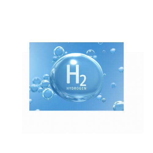 H2 logo