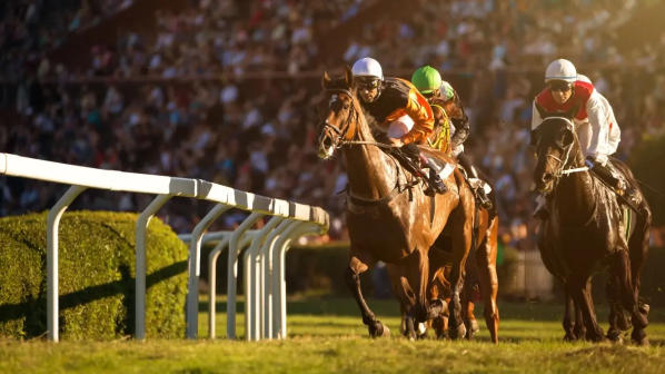 Horse Racing Odds API – Real-Time, Reliable & Scalable