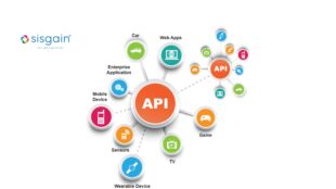 How Leading Software Companies Are Winning with API First Development 1