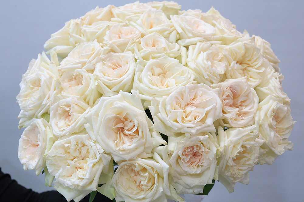 How To Extend The Life of Your Fresh Flowers?