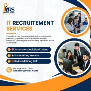 IT Recruitment Services 9