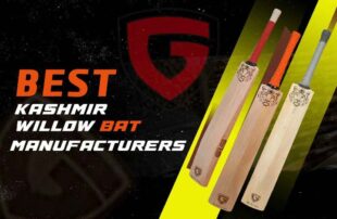 KashmirWillowCricketBat