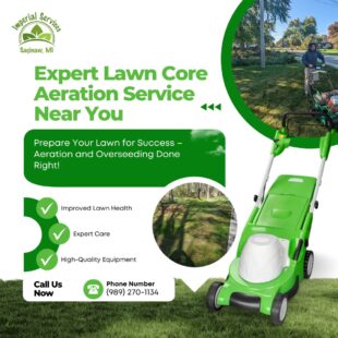 Lawn Core Aeration Service