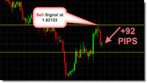 Inside Dux Forex: Real Results from VIP Signals