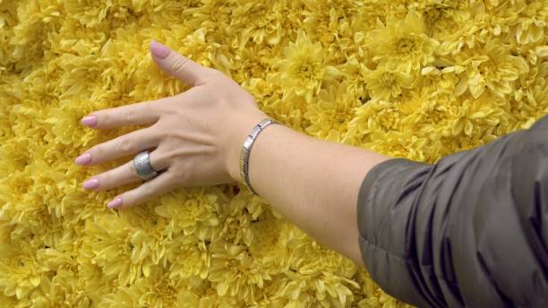 Top 10 Nomination Charms UK Shoppers Love
