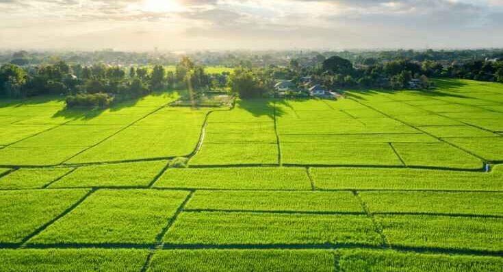 Plot for Sale in Bangalore A Complete Buyers Guide