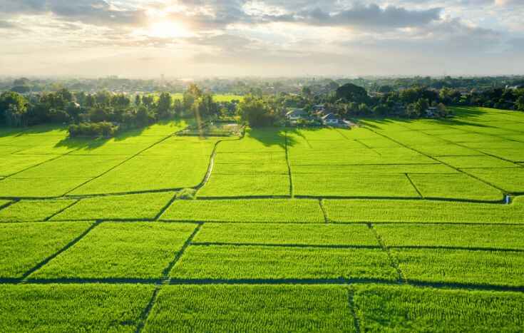 Exploring the Best Plots for Sale in Bangalore