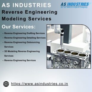 Reverse Engineering Modeling Services 3 June 25