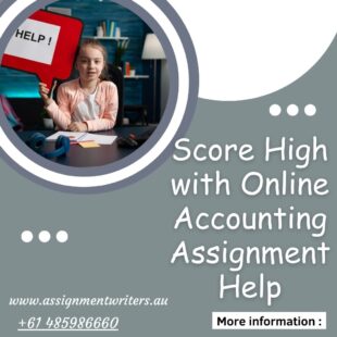 Score High with Online Accounting Assignment Help