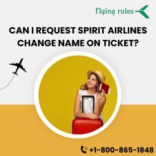 Spirit Airlines change name on ticket