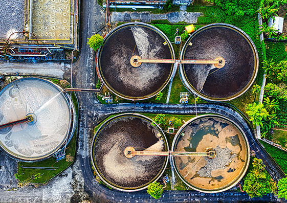 The Effects of Untreated Wastewater in the Food Dairy Sector