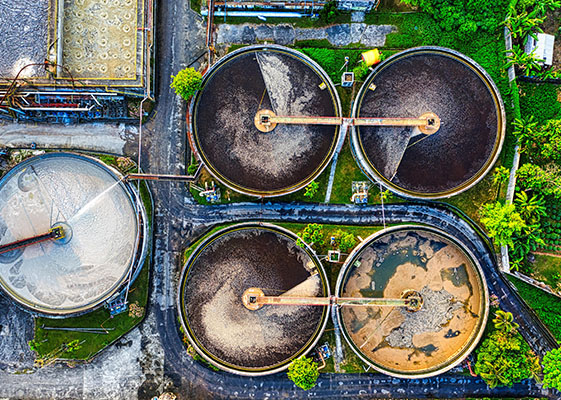 The Effects of Untreated Wastewater in the Food Dairy Sector