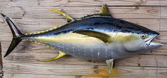 Tuna