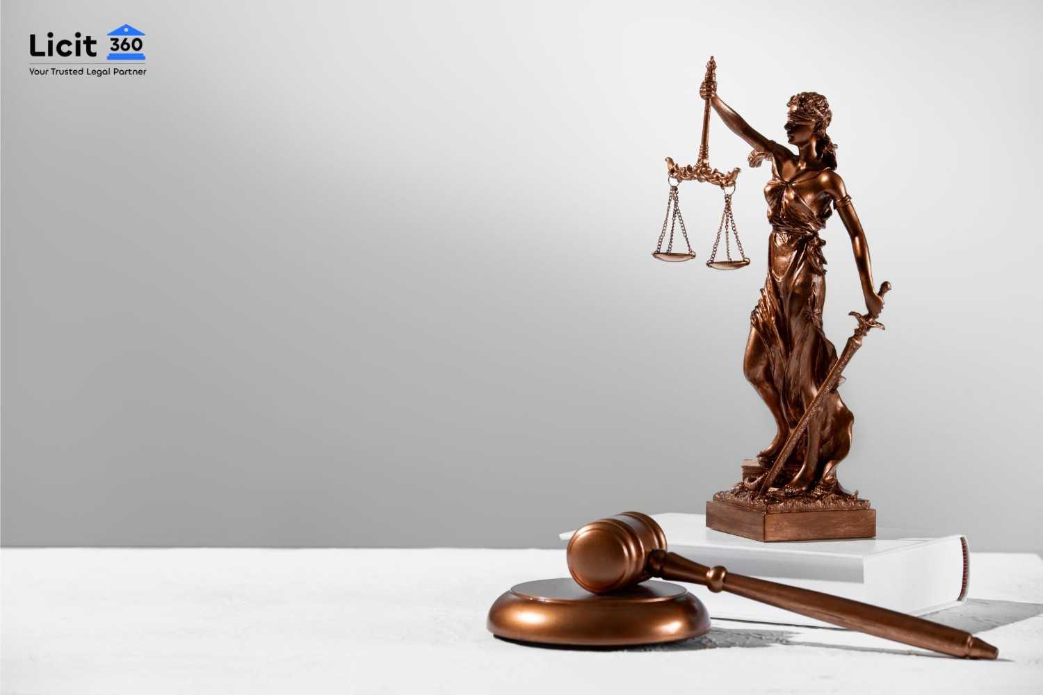 Expert Lawyer Consultation in Indore