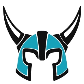 VSS Logo
