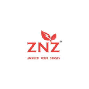 ZNZ logo