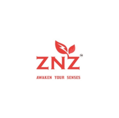 ZNZ logo
