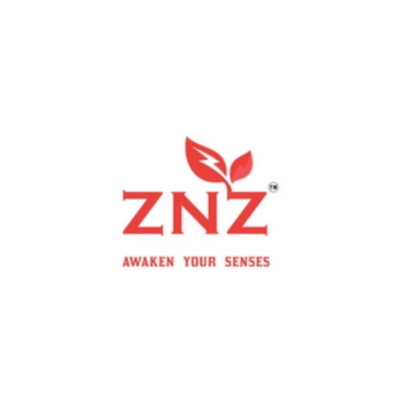 ZNZ — A Bite of Chocolate, A Rush of Emotion 1 ZNZ logo