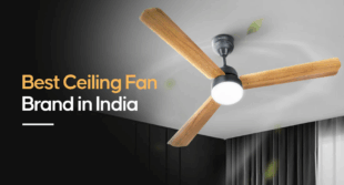 ceiling fan