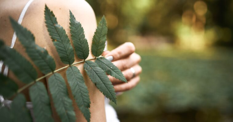 cropped image unknown mysterious young woman posing park holding green leaf while relaxing outdoors sunny day close up fern plant female hand 1 1
