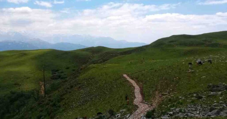 dayara bugyal trek