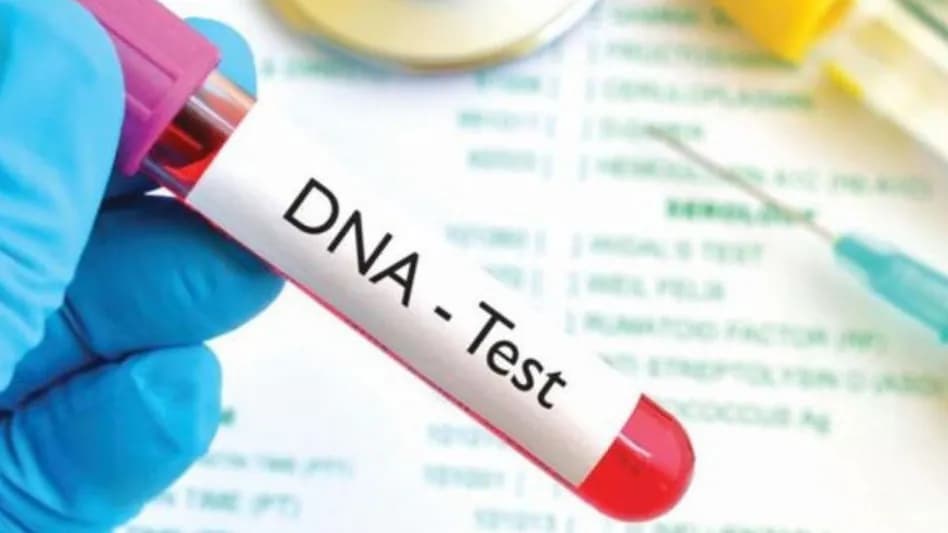 Paternity DNA Test – Process, Accuracy, and Legal Use