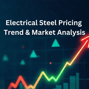 Electrical Steel Price Trend in 2025