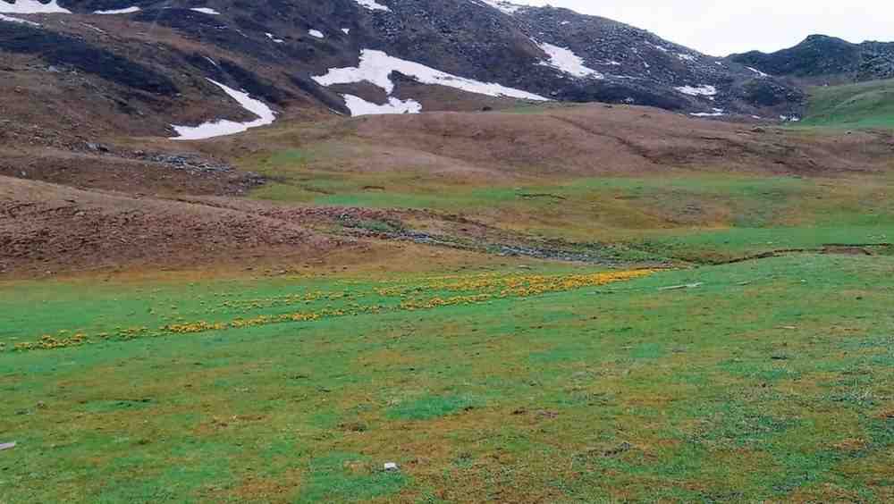 Gulabi Kantha Trek – A Hidden Gem in the Himalayas