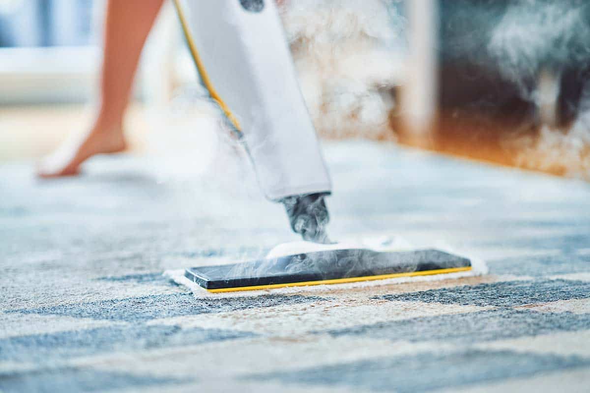 Carpet Cleaning is Essential for Home Comfort